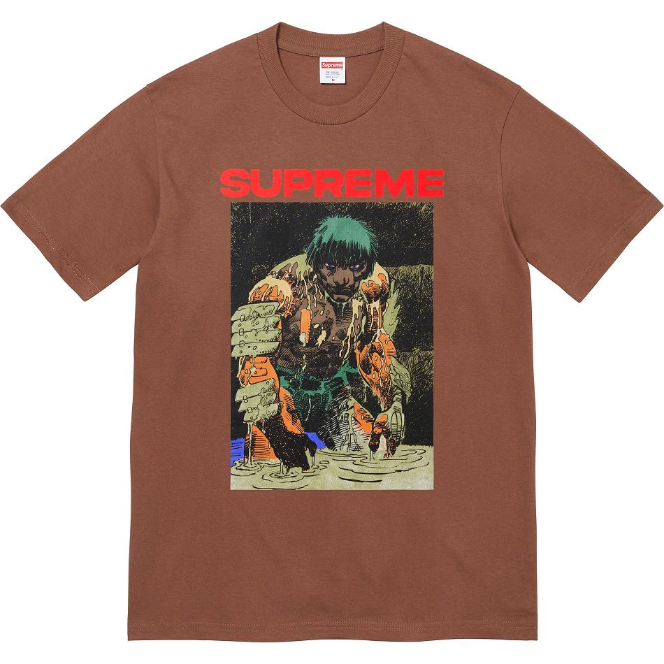 Camiseta Supreme Ronin Tee Marrom | PT351QZ