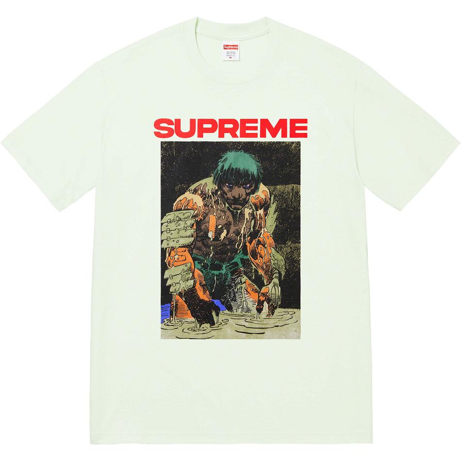 Camiseta Supreme Ronin Tee Menta | PT353EX