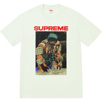 Camiseta Supreme Ronin Tee Menta | PT353EX